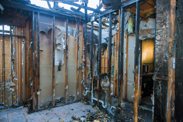 Professional Fire Damage Removal technician working in Port Washington, WI